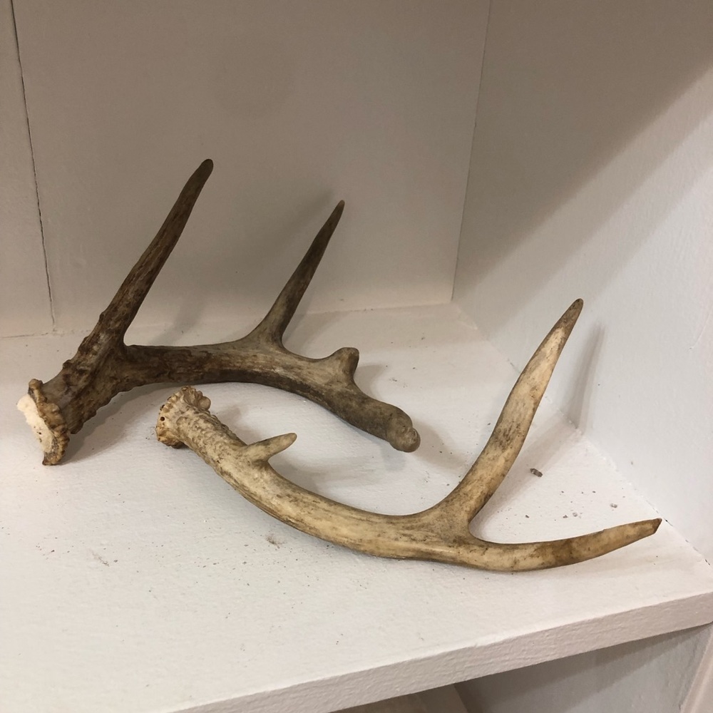 Rustic Brown Antler Decor
